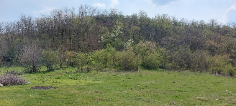 Axintele, Ialomita vand teren intravilan