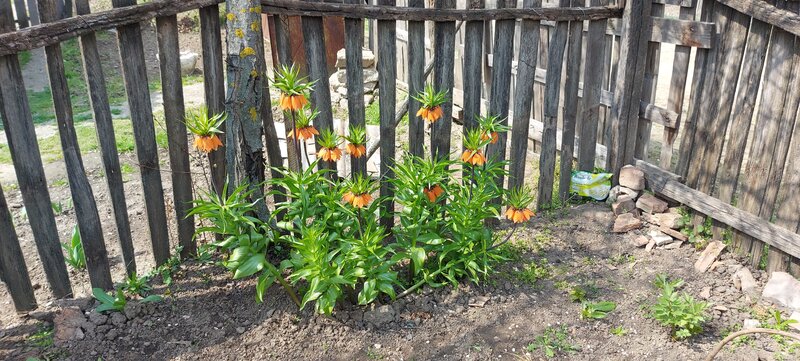 Axintele, Ialomita vand teren intravilan